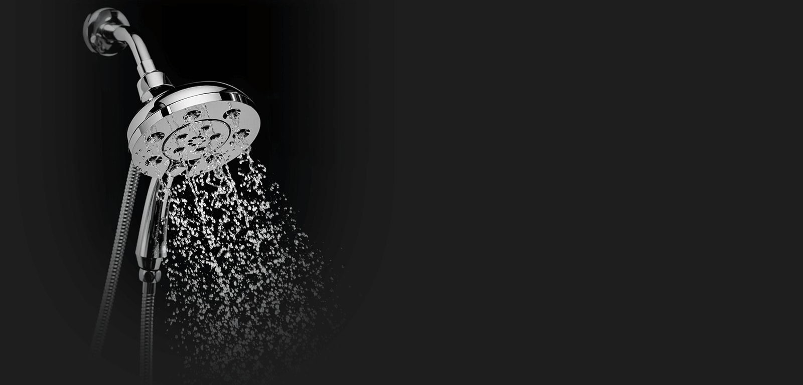 Combination Shower Head and Hand Shower In2ition® TwoinOne Shower