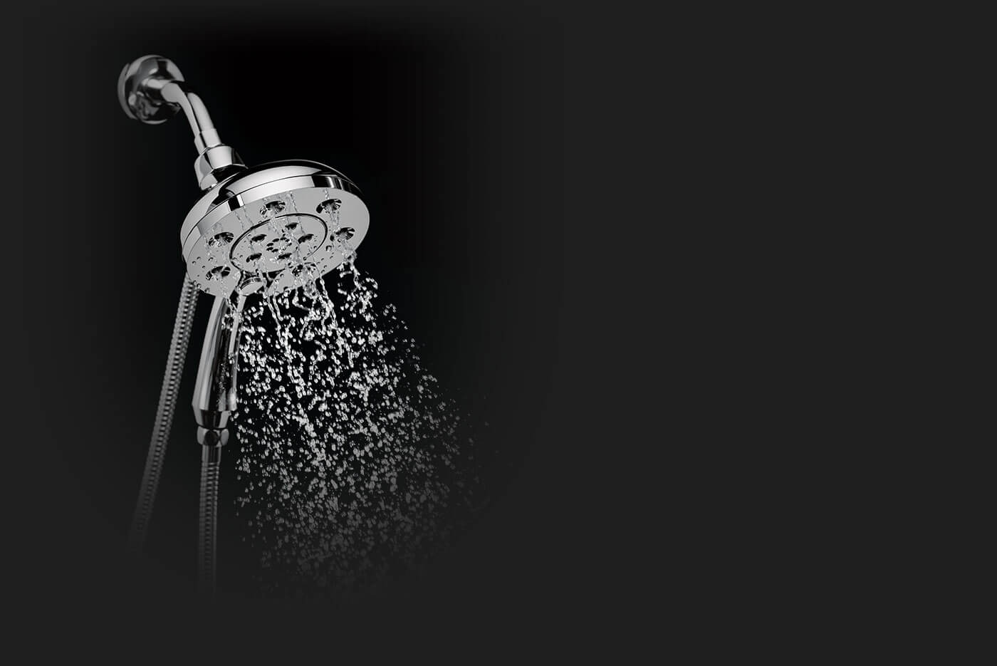 Combination Shower Head and Hand Shower In2ition® TwoinOne Shower